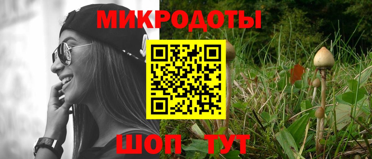 Галлюциногенные грибы Psilocybine cubensis Партизанск