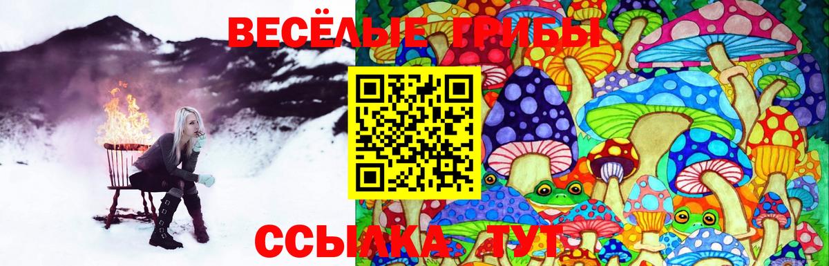 Псилоцибиновые грибы Psilocybe  Вход с VPN  хочу наркоту  Партизанск  Псилоцибиновые грибы GOLDEN TEACHER 